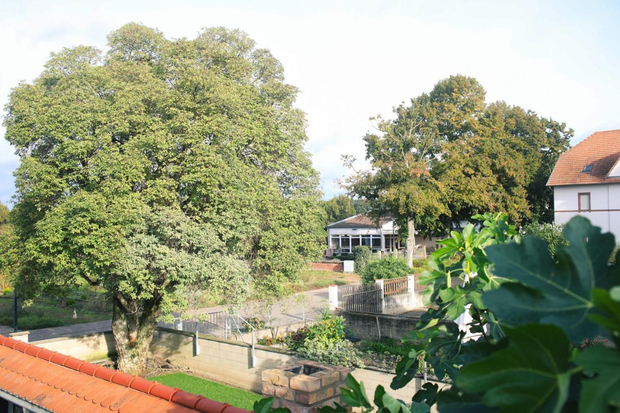 הרקסהיים Hotel Duwakschopp מראה חיצוני תמונה